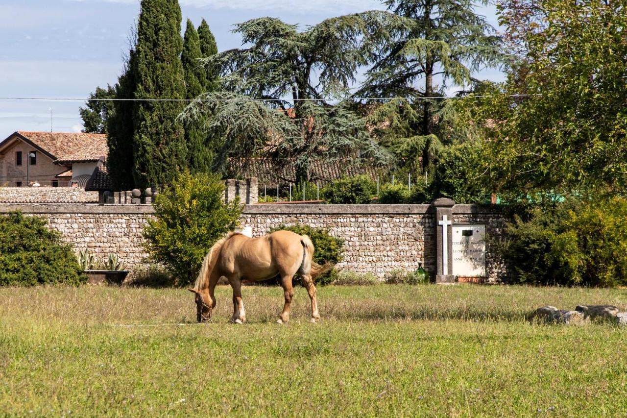 Casa Ariis Bed and Breakfast Clauiano Εξωτερικό φωτογραφία